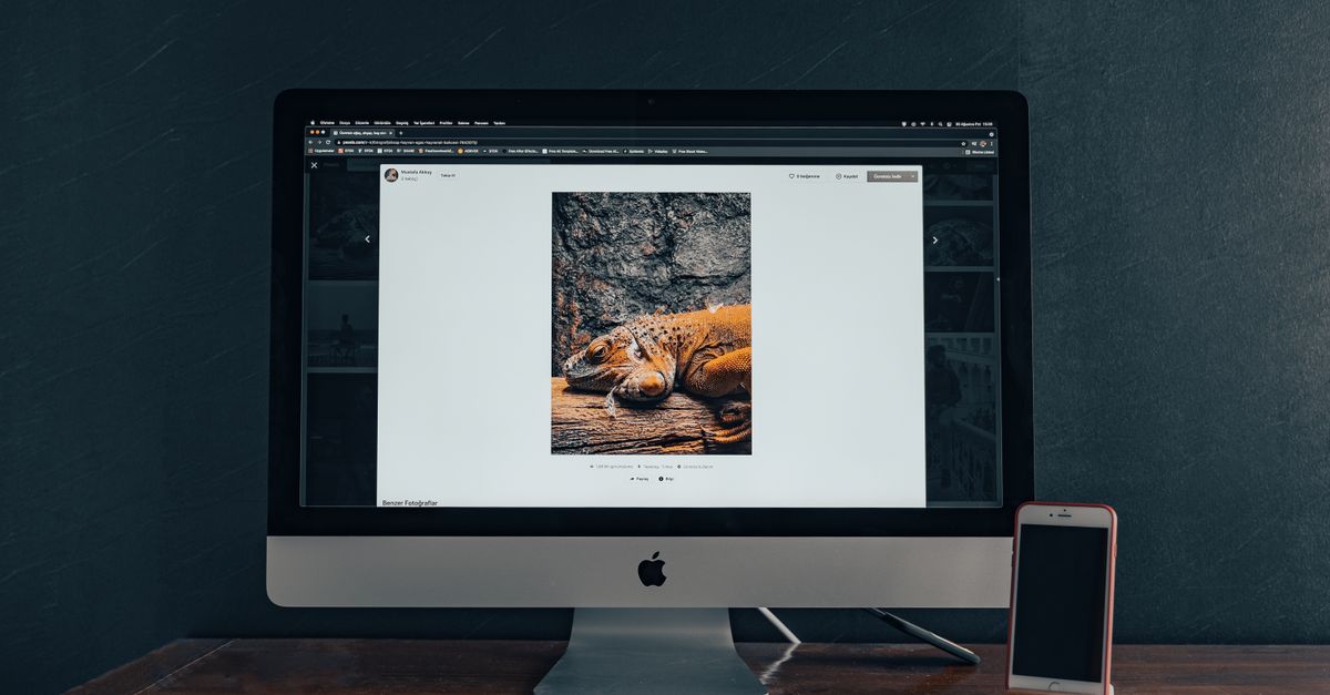 Affordable Web Agency Packages for Small Businesses: What You Get and What to Watch For