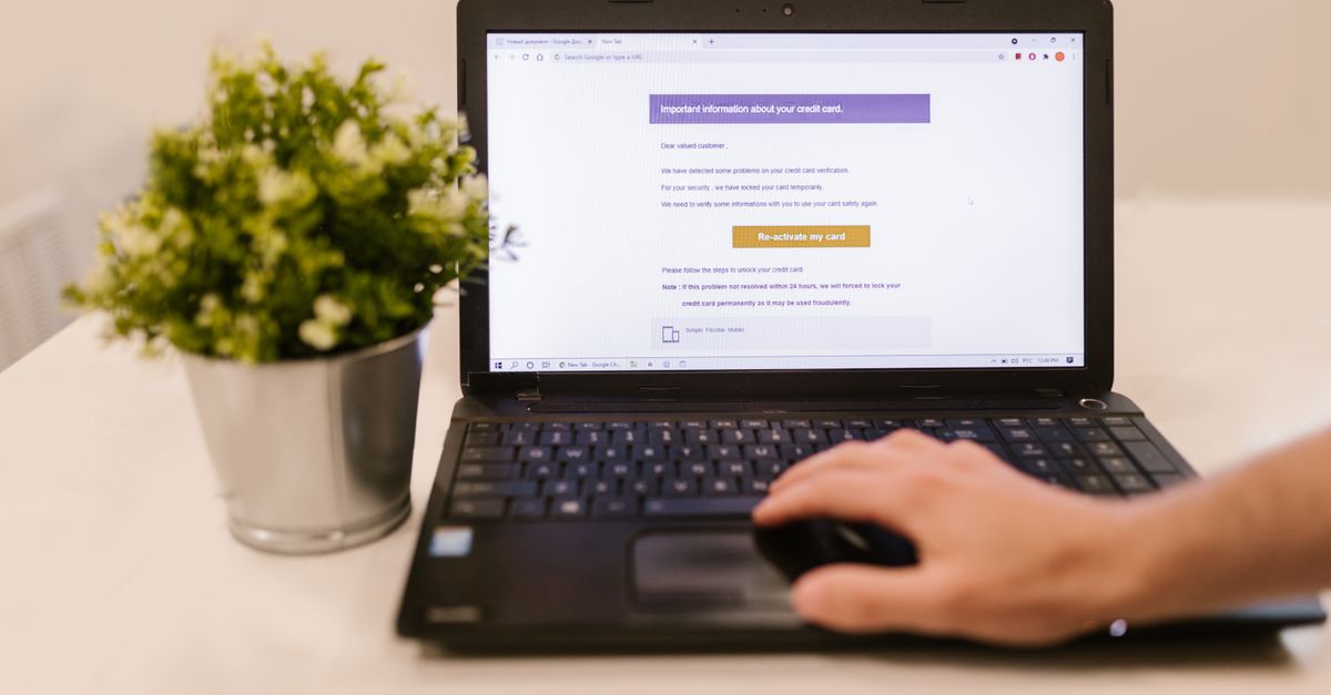 Email Newsletter Best Practices 2026: Opens, Clicks & Revenue